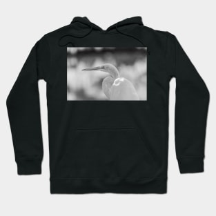 Black and white of Great egret Hoodie